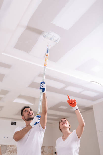 Best Comprehensive Air Testing for Mold Contaminants  in Centerfield, UT