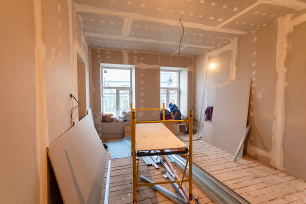 Best Black Mold Removal  in Centerfield, UT